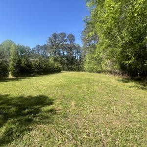 Cleared area