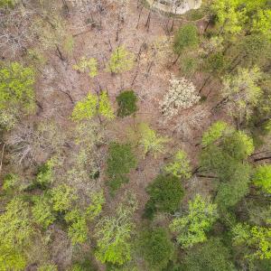 DJI_20231130010714_0522_D