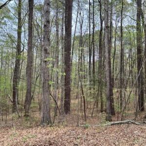 thumbnail_IMG_6612