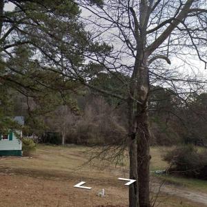 OVERALL VIEW -good