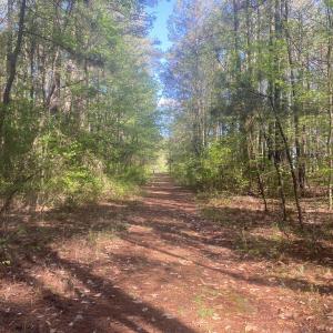 25B9363D-2D0F-406E-9A8A-812C7F01DF05