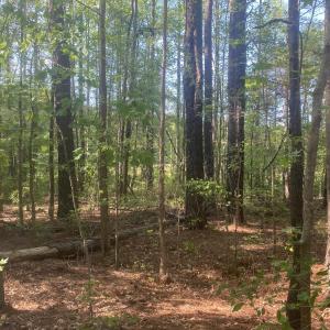 5F2EECBC-20AB-4A7B-A4A8-D5F321C0FDF2