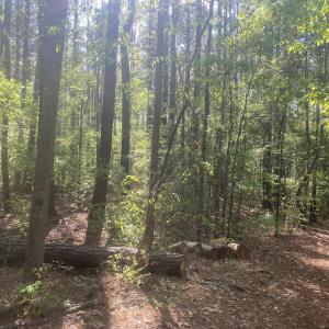 05AA8E8A-FFBE-4CC9-A41B-97B0A0E980B6