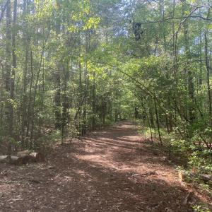 09EE6F01-60BE-4185-B27E-0169453ACD8E