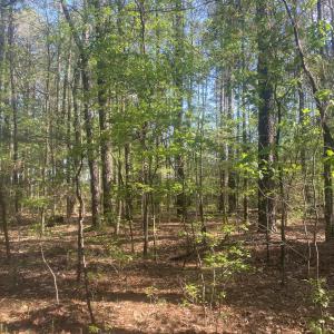 1F83A098-478A-4F3D-952F-3B4F7843174C