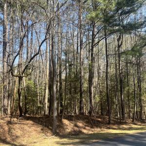 55137163-9CFA-4297-8DF9-04B5ACA00C25