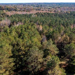206 Pike Memory Ln 2-42