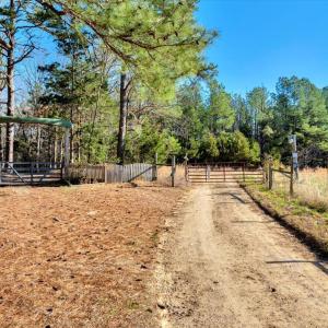 04-DJI_20250322095401_0004_D