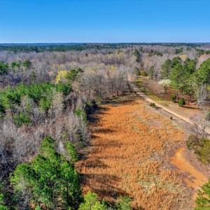 18-DJI_20250322100241_0049_D