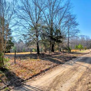 03-DJI_20250322095337_0001_D