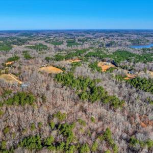 09-DJI_20250322095802_0022_D