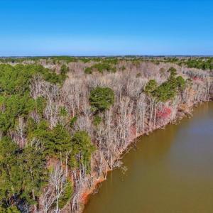 12-DJI_20250322100044_0031_D