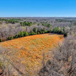 22-DJI_20250322100442_0061_D