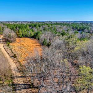 23-DJI_20250322100456_0064_D