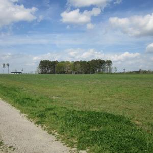 IMG_1408