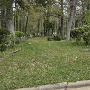 531 Homewood Lot