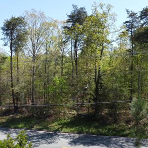 Land 3