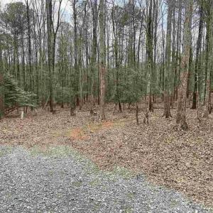 Unimproved Land