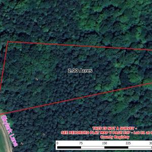 Aerial MLS