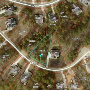 Lot 478 123 Bur Oak Aerial_041425