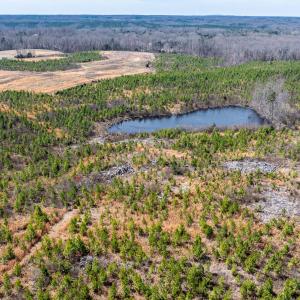 NC-86-Caswell-11
