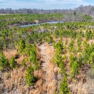 NC-86-Caswell-12