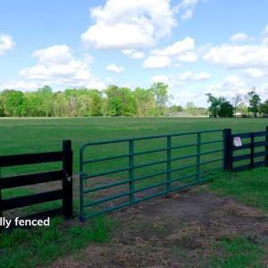 Cameron NC Ground Still06