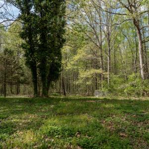 WATKINS RD-53