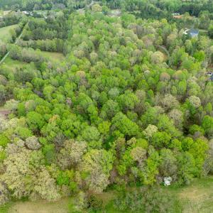 WATKINS RD-07