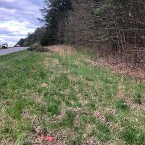 Wake Forest Highway Street Frontage