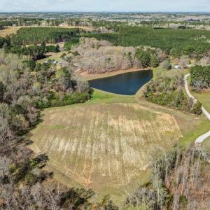 10-web-or-mls-DJI_0116
