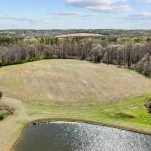 11-web-or-mls-DJI_0117