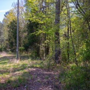 23-023-ChathamParcel-71723-CrawfordDairy