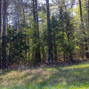 21-021-ChathamParcel-71723-CrawfordDairy