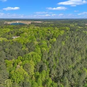 8-7235 Cass Holt-8