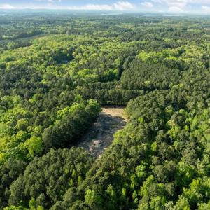 12-web-or-mls-DJI_0642