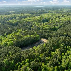 11-web-or-mls-DJI_0641
