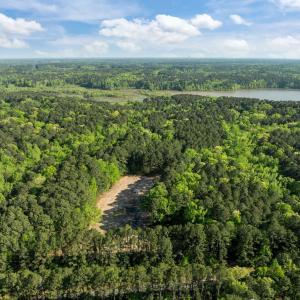 6-web-or-mls-DJI_0636