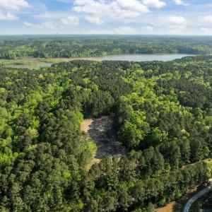 5-web-or-mls-DJI_0635