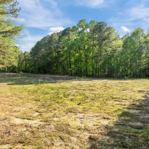 3-web-or-mls-DJI_0633