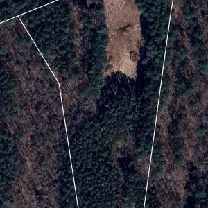 Image 4-23-25 at 9.51AM_f8893e09-8858-4