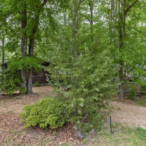 34-web-or-mls-2N6A4673