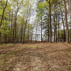 049_lake-land-1_401