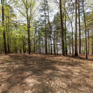062_lake-land-33_640