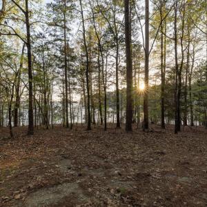 065_lake-land-53_179