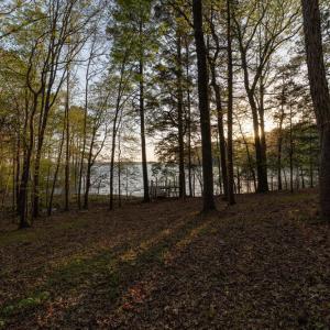 066_lake-land-54_621
