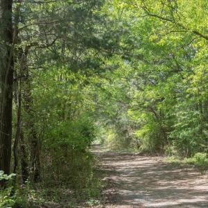 03-003-1604BonleeSchoolRd-Parcel-4625-48