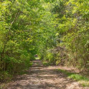 05-005-1604BonleeSchoolRd-Parcel-4625-48