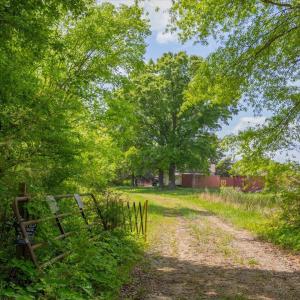 07-007-1604BonleeSchoolRd-Parcel-4625-48