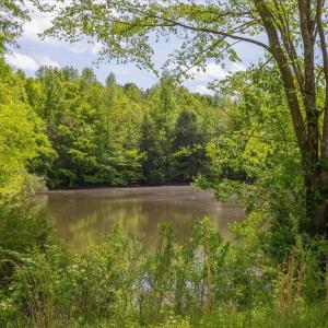08-008-1604BonleeSchoolRd-Parcel-4625-48